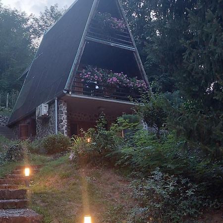 Holiday Home Dragonfly River House On Korana Near Plitvice And Mreznica Barilovic ภายนอก รูปภาพ