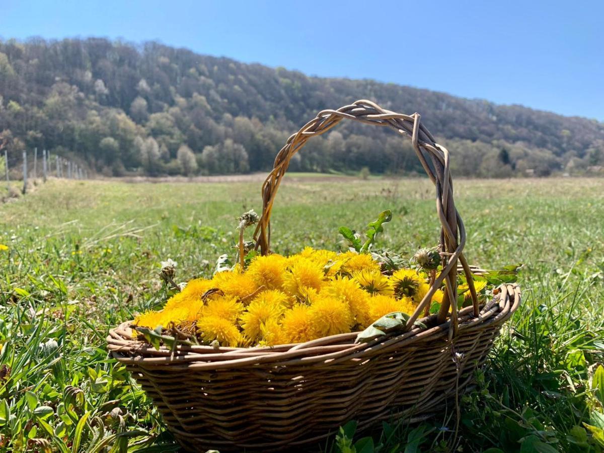 Holiday Home Dragonfly River House On Korana Near Plitvice And Mreznica Barilovic ภายนอก รูปภาพ