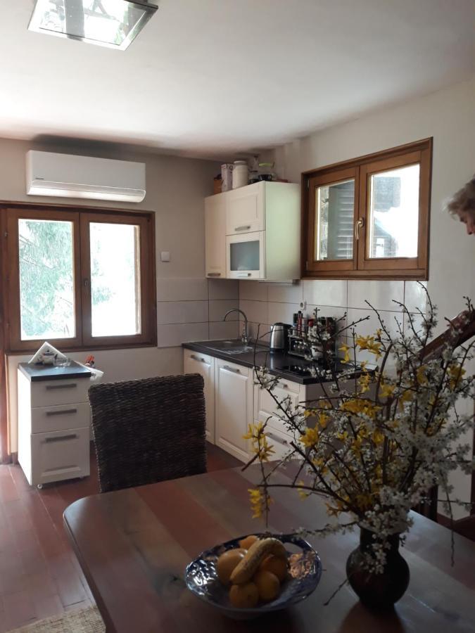 Holiday Home Dragonfly River House On Korana Near Plitvice And Mreznica Barilovic ภายนอก รูปภาพ