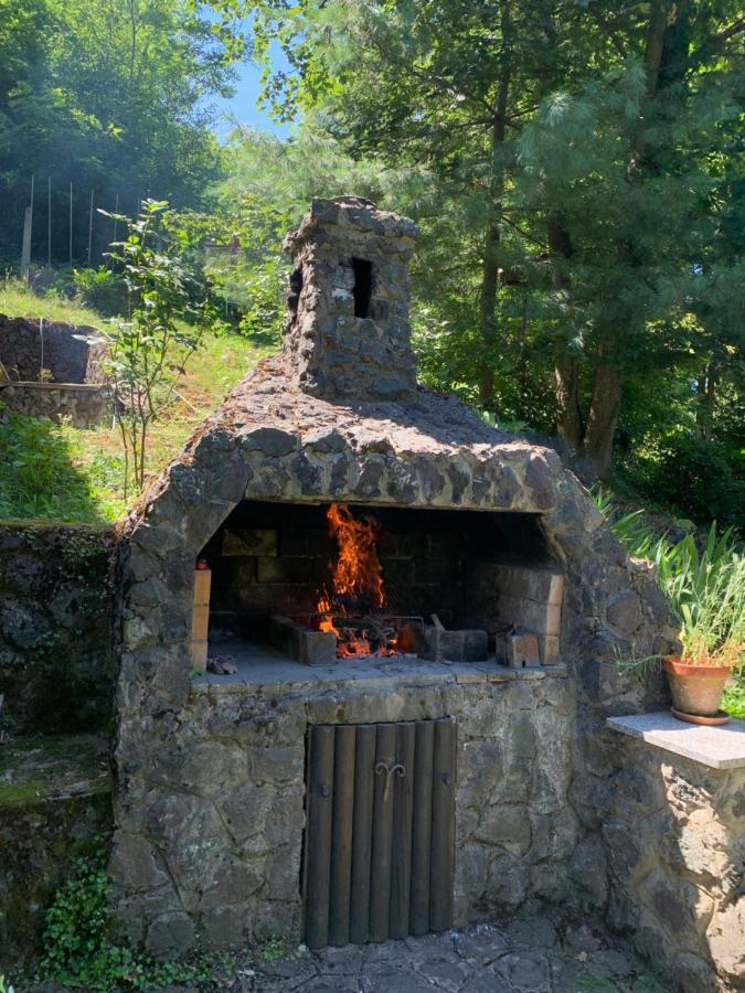 Holiday Home Dragonfly River House On Korana Near Plitvice And Mreznica Barilovic ภายนอก รูปภาพ